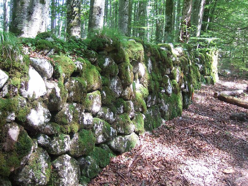 2009-08- (222).JPG - Dann geht's auf den Wartstein ...